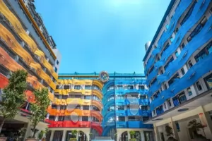 2025年乐山艺术实验学校小学部招生简章及收费标准